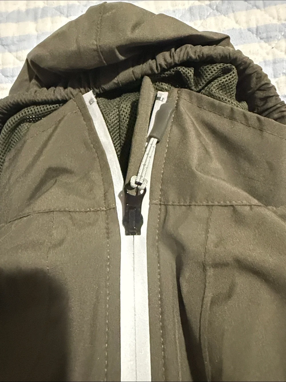 Arcadia Olive Green Waterproof Windbreaker Pet Jacket